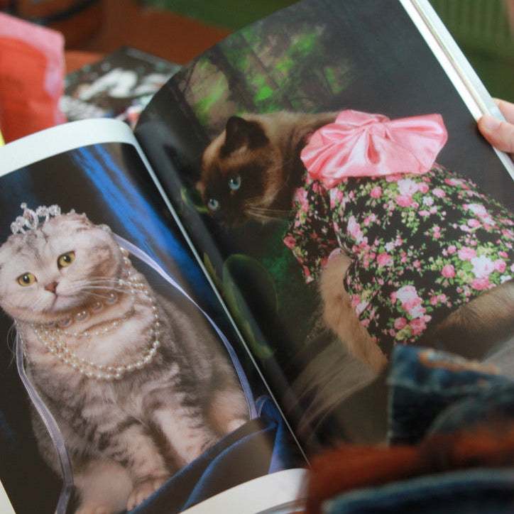 Catnip Magazine