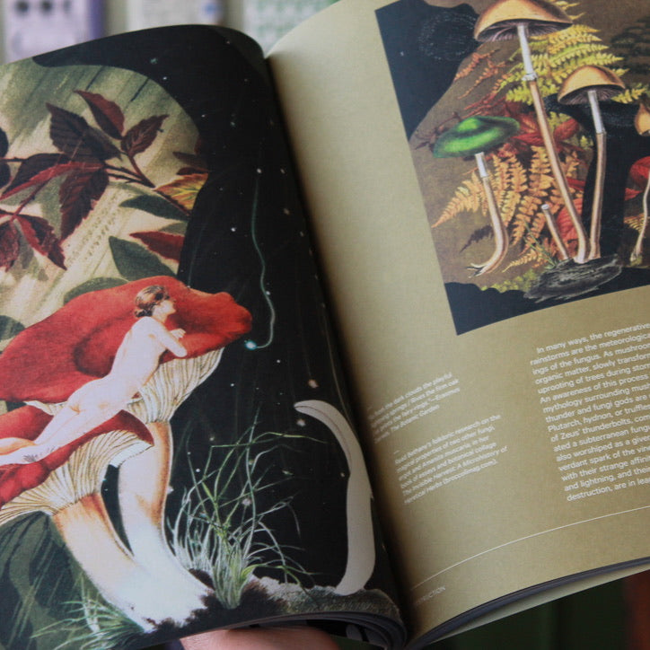 Mushroom People Magazine Volume 2