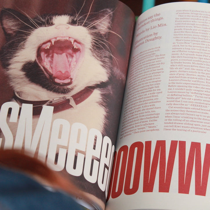 Catnip Magazine