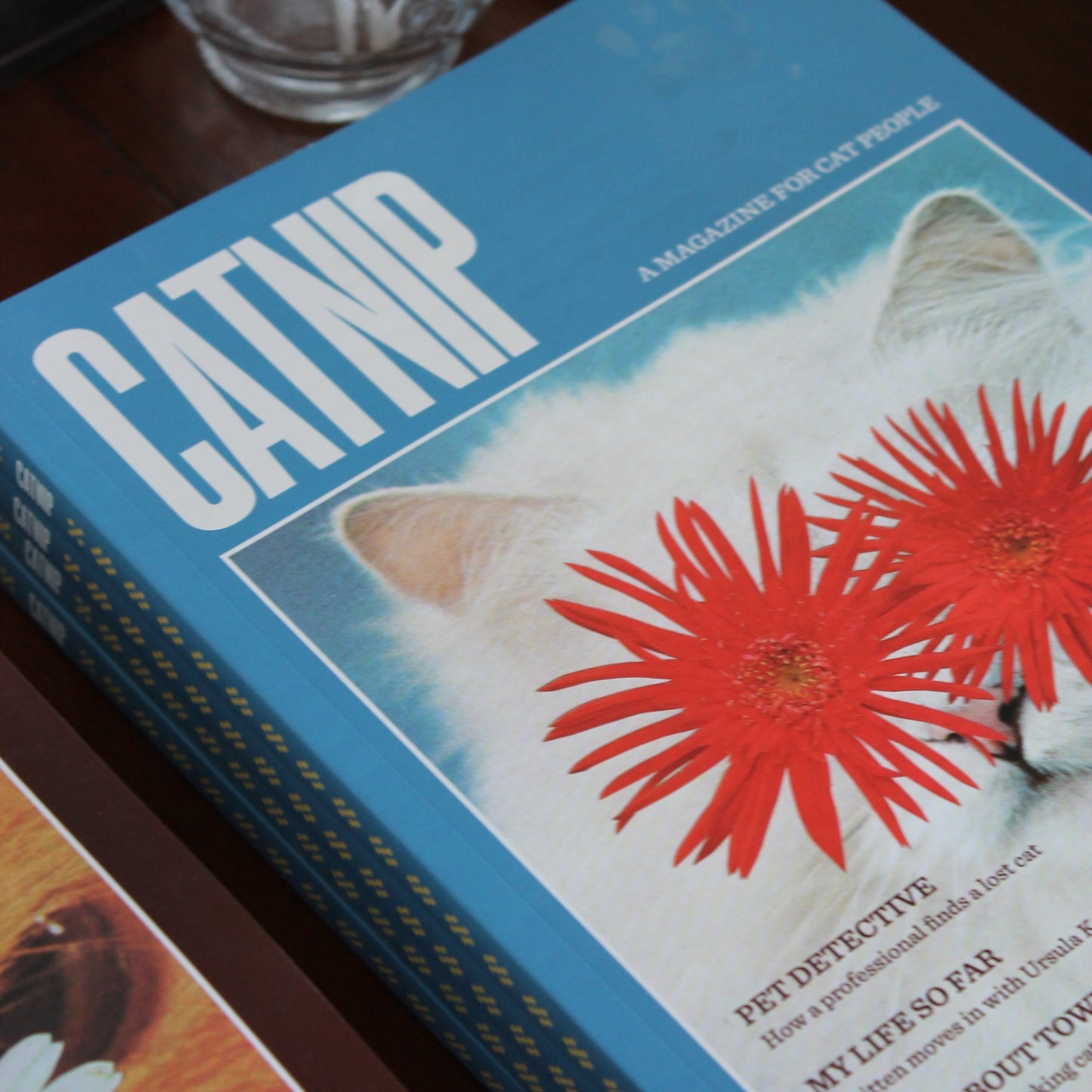 Catnip Magazine Vol. 2