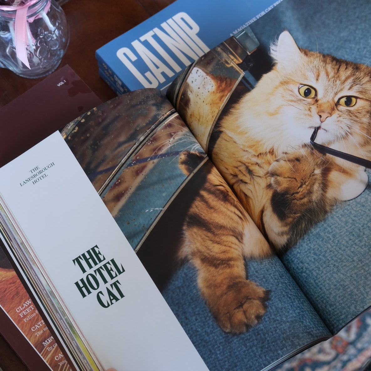 Catnip Magazine Vol. 2