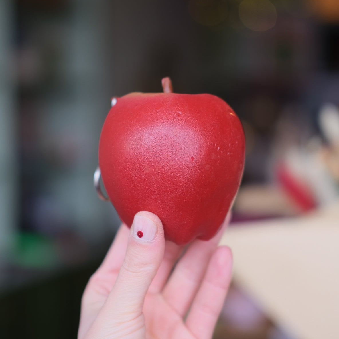 Apple Fruit Coin Purse