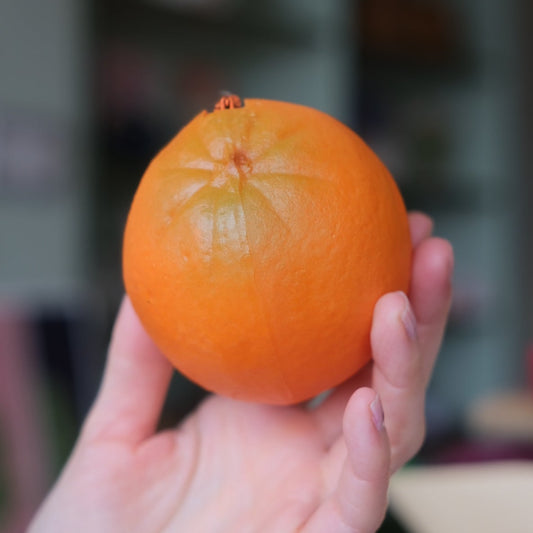 Orange Fruit Coin Purse