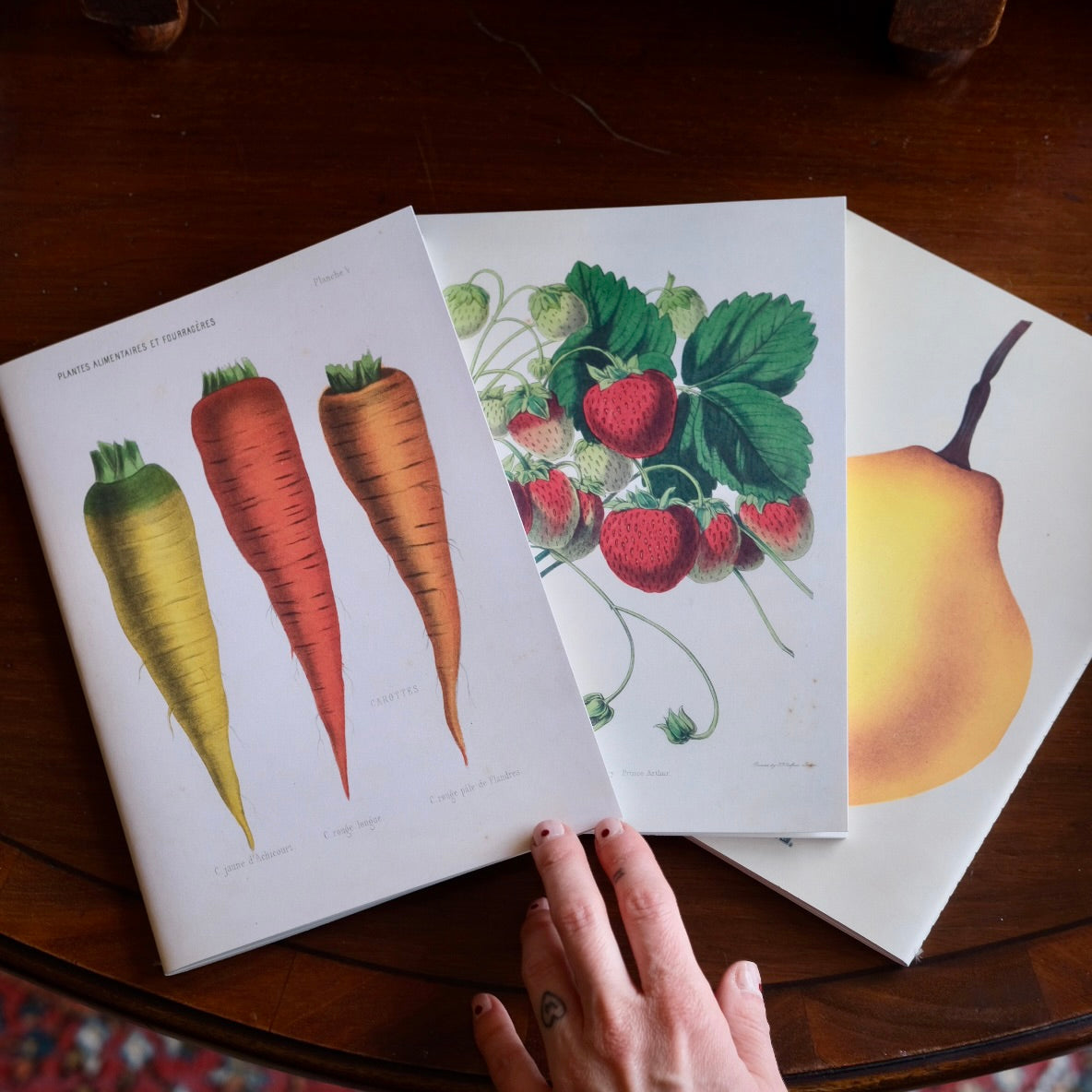 John Derian Notebook Set - Kitchen Delights